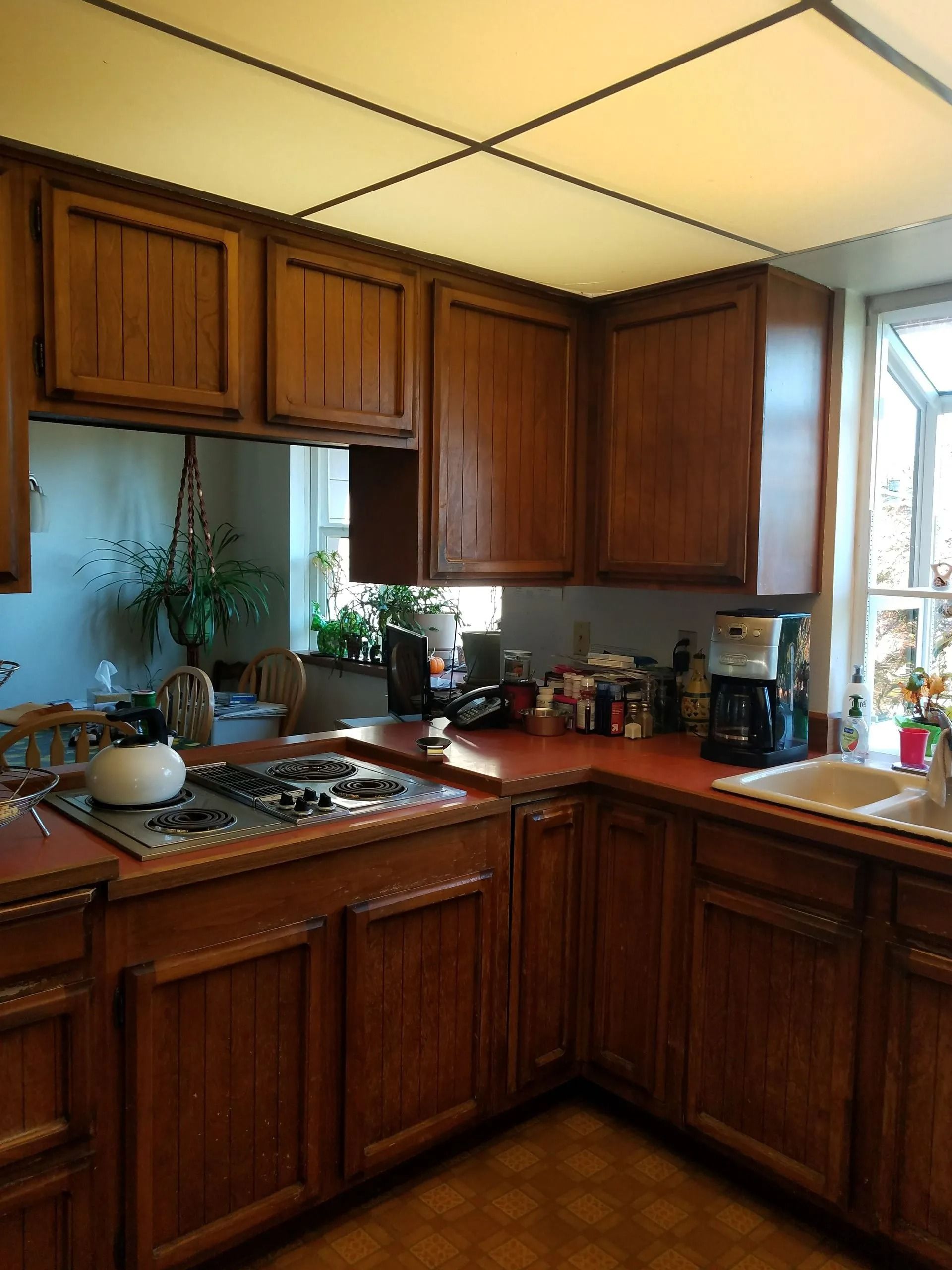 Wooden kitchen cabinets with countertop appliances