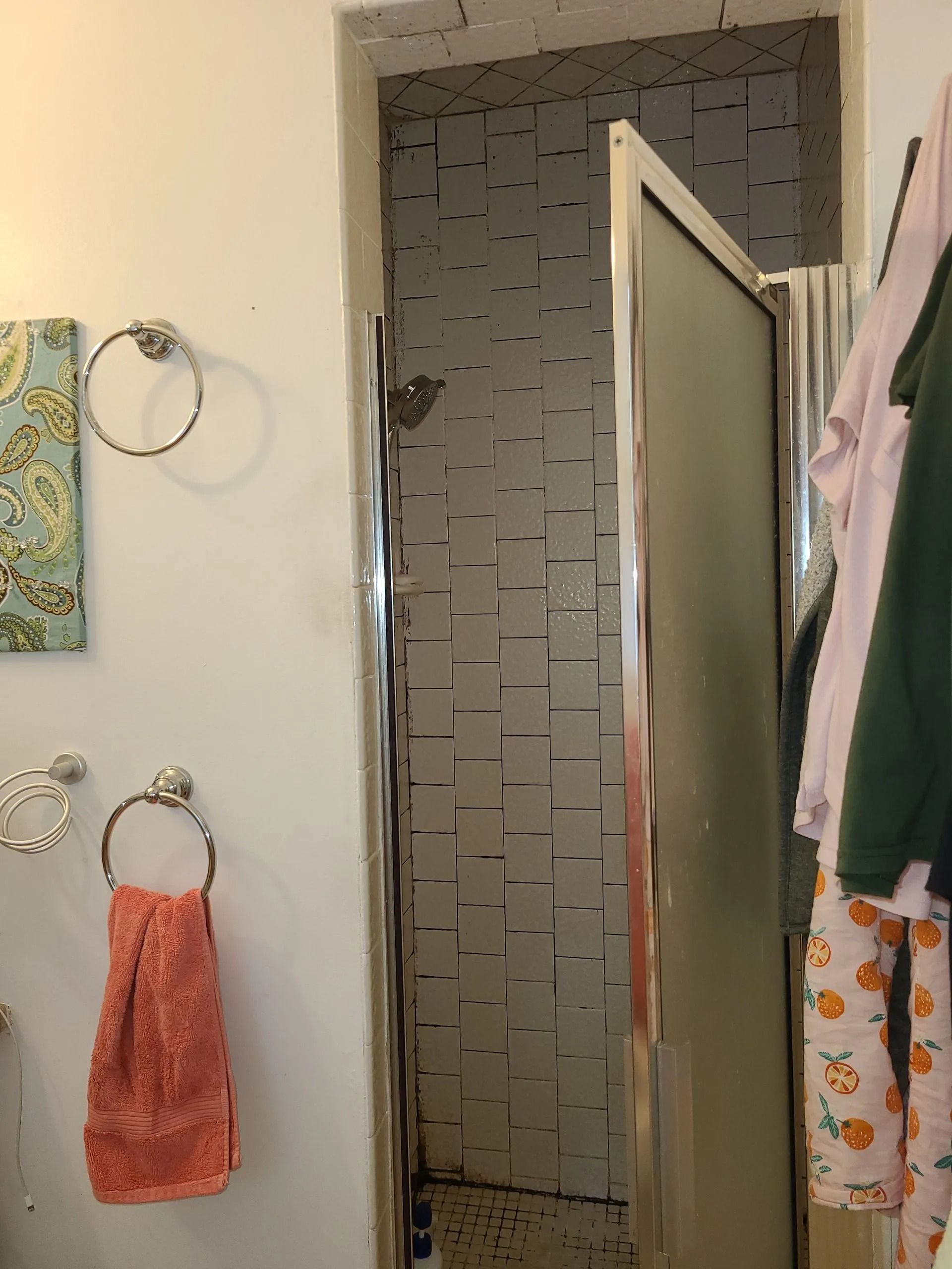 Shower with frosted glass door